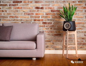 氣溫下不來,人都曬蔫了,用好花器種花草可能感覺會涼快點(diǎn)